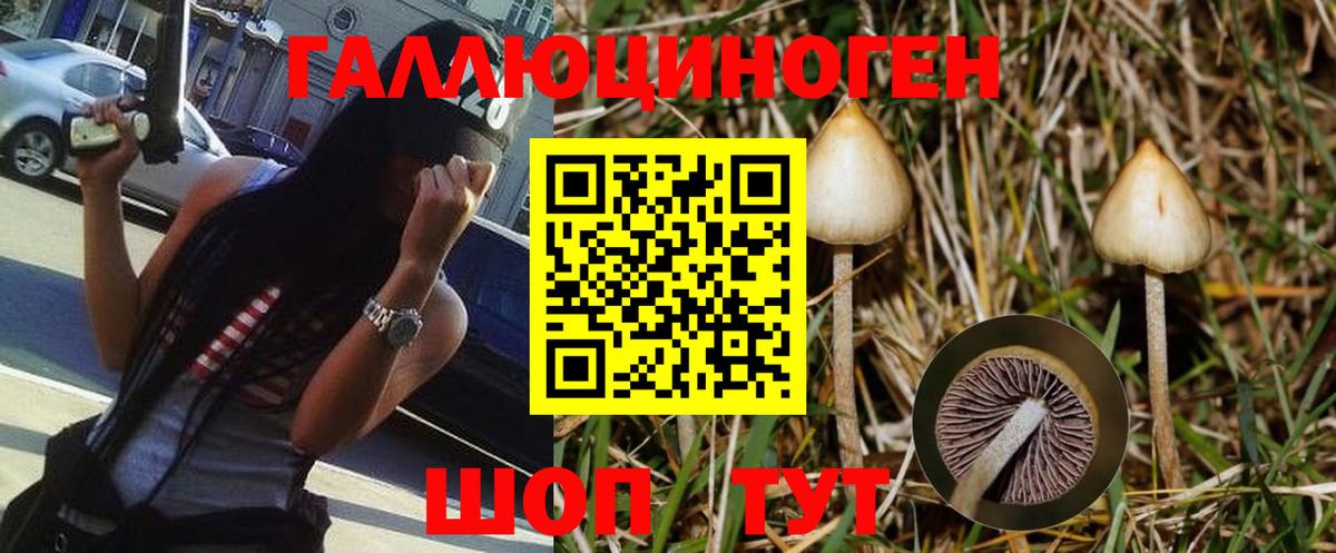 Псилоцибиновые грибы прущие грибы Надым
